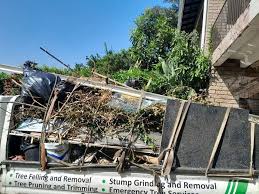 Best Dumpster Rental Services  in Jenkintown, PA